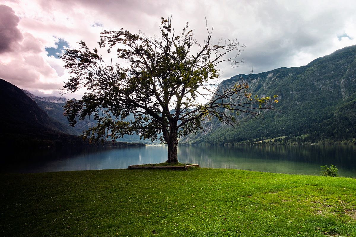 Bohinjské jezero